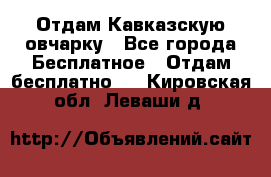 Отдам Кавказскую овчарку - Все города Бесплатное » Отдам бесплатно   . Кировская обл.,Леваши д.